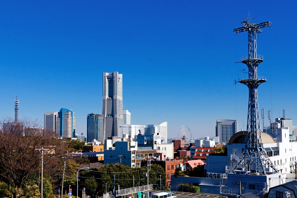 🏞️ 노게야마 공원 (노게야마 코엔) 이미지 6